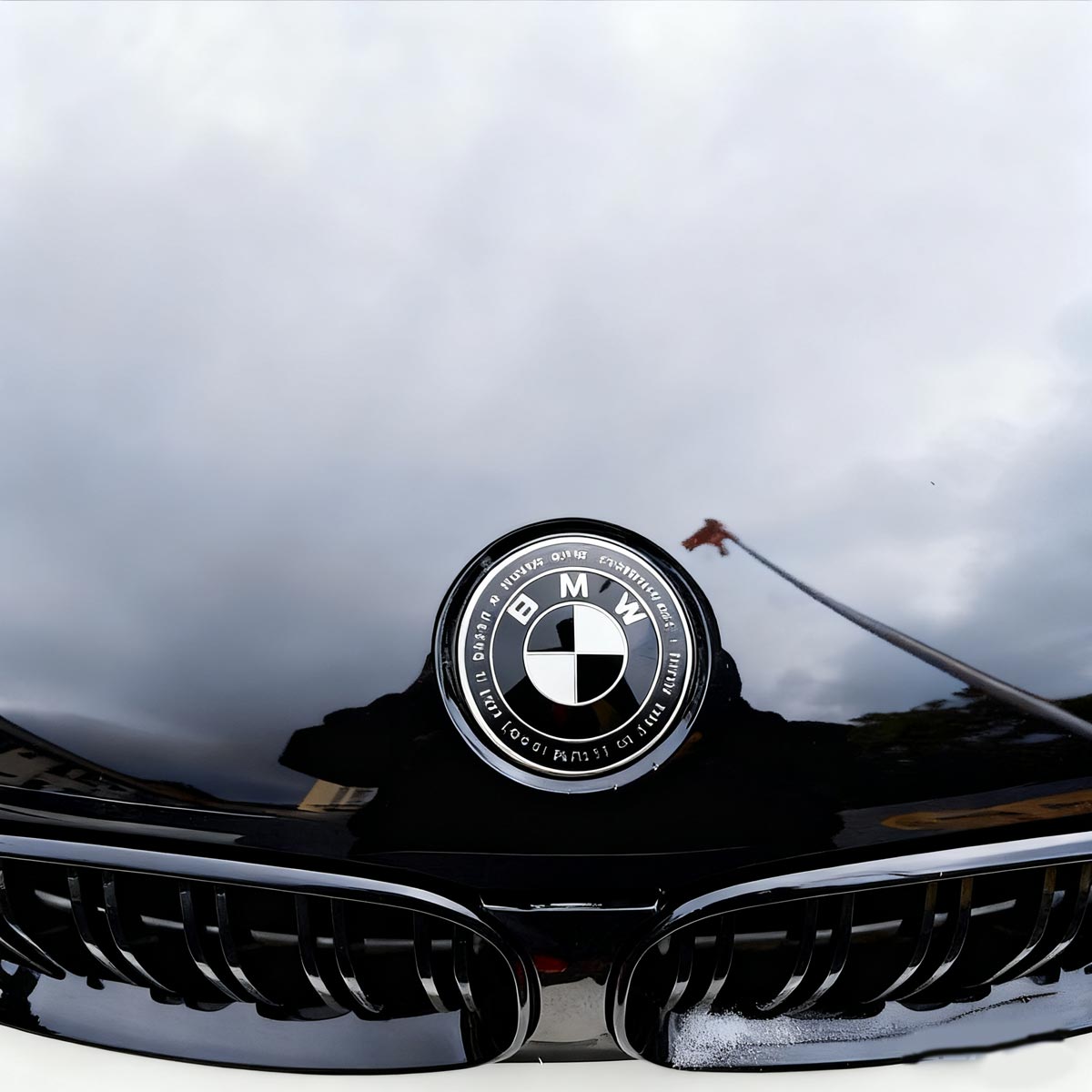 Bmw emblem